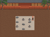 Zen Puzzle Garden